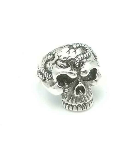 Skull ring worms