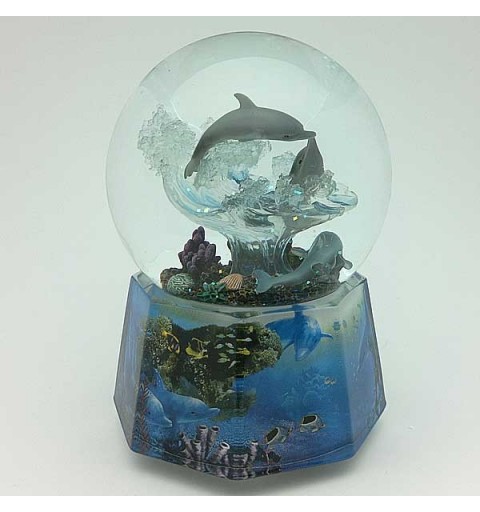 Snowball with Dolphins